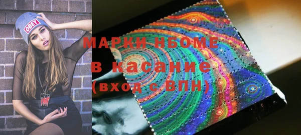 индика Богородицк